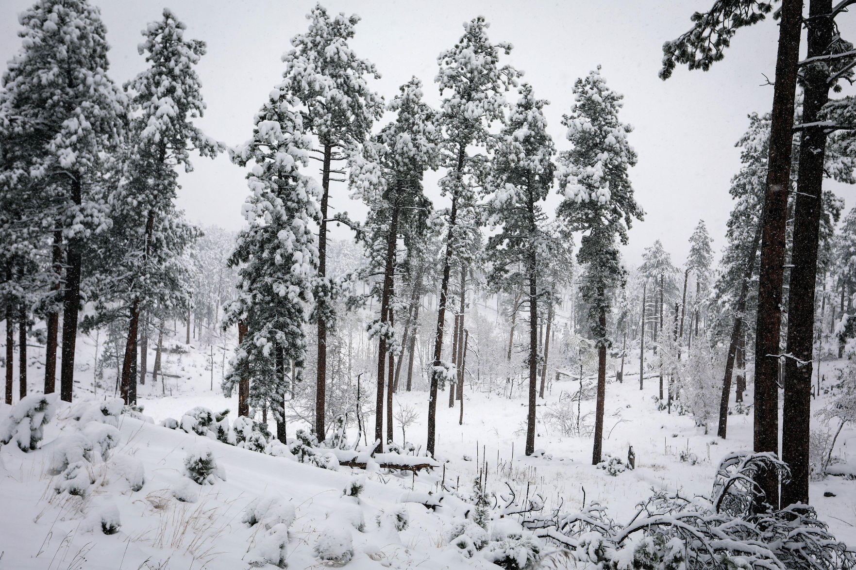May Snowstorm